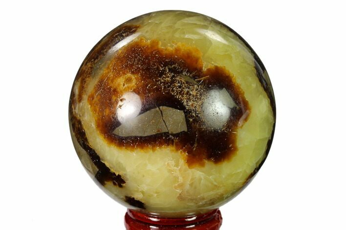 2.4" Polished Septarian Sphere - Madagascar